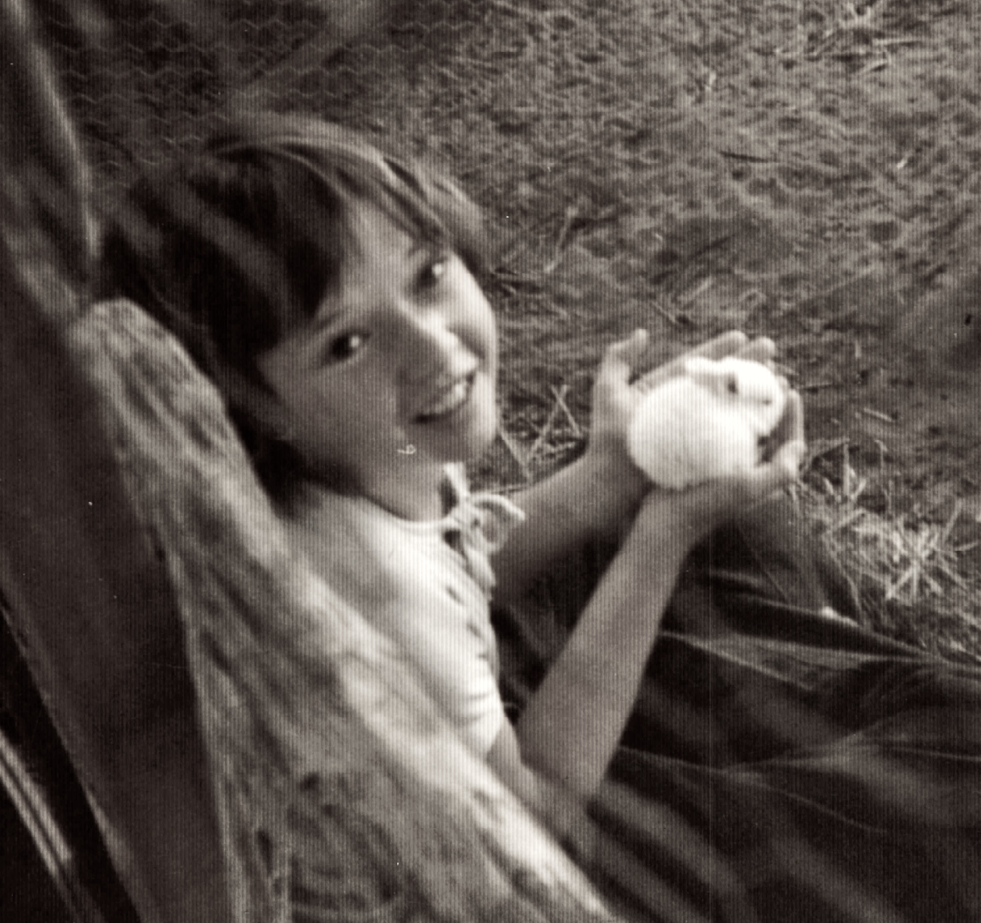 The healing power of bunnies